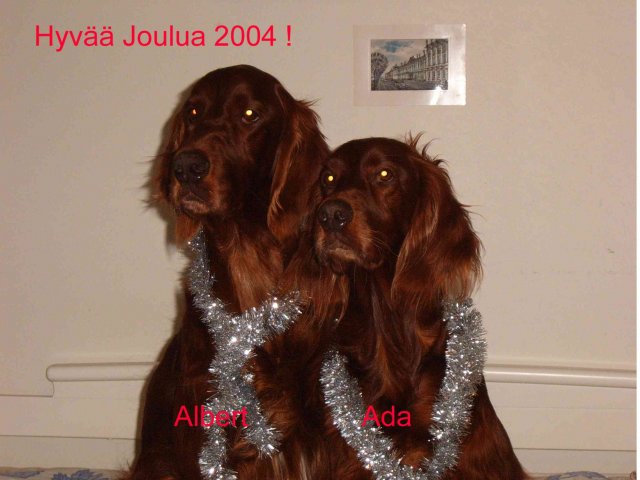 image albert-ada-jpg