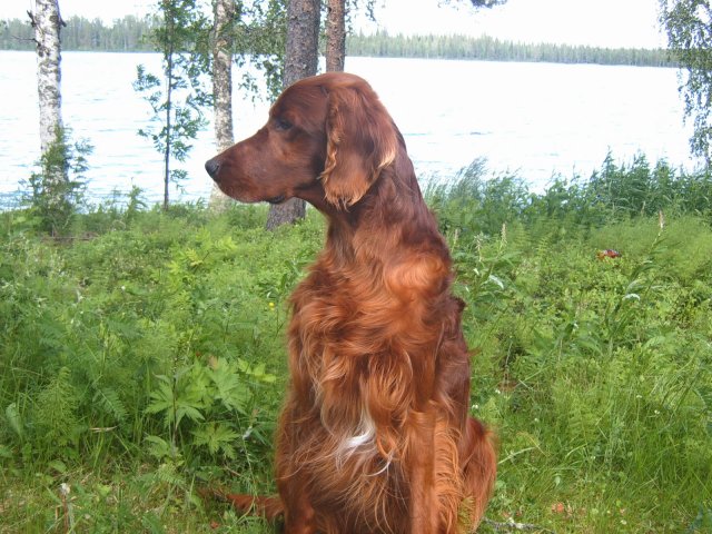 image kalenterikuva4-jpg