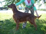 image alpo_pose-kopio-jpg